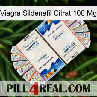 Viagra Sildenafil Citrate 100Mg kamagra1